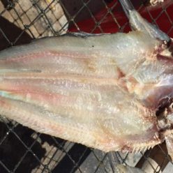 Khô cá ngát 1 nắng (loại lớn)